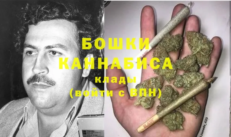 где найти наркотики  Емва  Шишки марихуана Ganja 